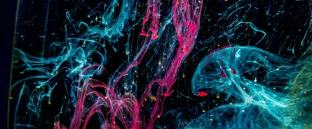 Agent Framework For Productivity